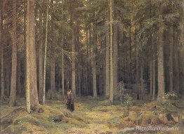 Het bos van gravin Mordvinov Het bos van gravin Mordvinov