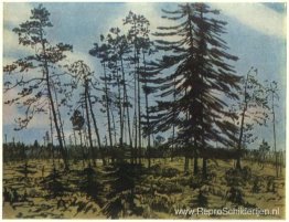 Finland met een blauwe lucht Finland met een blauwe lucht