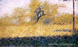 Rand van hout, lente Rand van hout, lente