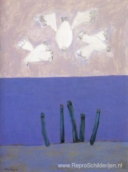 Vogels Over Hemel Vogels Over Hemel