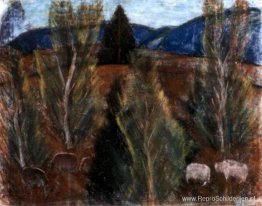 Bakony-landschap Bakony-landschap