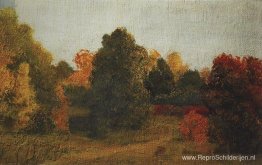 Herfst Herfst