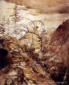 Bomen en rotsen Bomen en rotsen