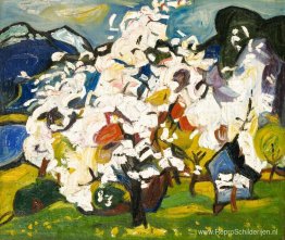 Bergbloesems, Volda Bergbloesems, Volda