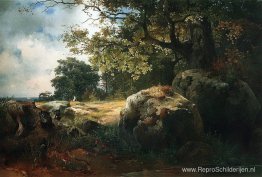 Uitzicht in de buurt van Oranienbaum Uitzicht in de buurt van Oranienbaum