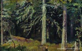 Sparrenbos Sparrenbos