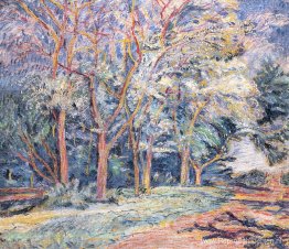 Landschap met bomen Landschap met bomen