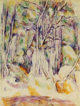 Het park van het Chateau Noir met waterput Het park van het Chateau Noir met waterput