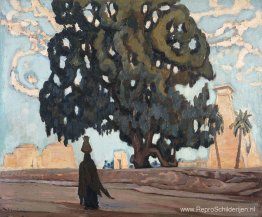 Egyptisch landschap Egyptisch landschap