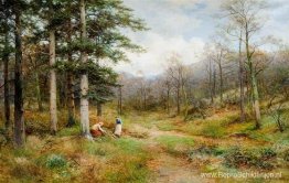 Aan de Lange Mynd, Church Stretton Aan de Lange Mynd, Church Stretton