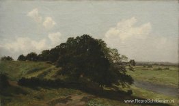 Zomerdag. Bomen Zomerdag. Bomen