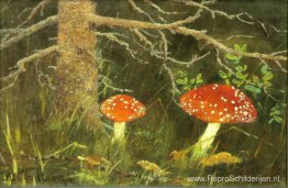 Paddestoelen onder de boom Paddestoelen onder de boom