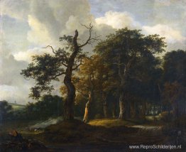 Een weg door een eikenbos Een weg door een eikenbos