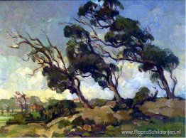 Winderige bomen Winderige bomen