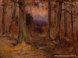 Landschapsschets Landschapsschets