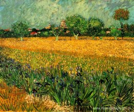 Uitzicht op Arles met irissen op de voorgrond Uitzicht op Arles met irissen op de voorgrond