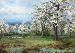 De Perenboomgaard De Perenboomgaard