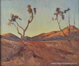 Avondlicht, Flinders Ranges, SA Avondlicht, Flinders Ranges, SA
