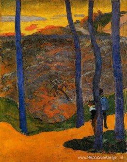 Blauwe bomen Blauwe bomen