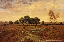 Lande de la Glandee, bos van Fontainebleau Lande de la Glandee, bos van Fontainebleau