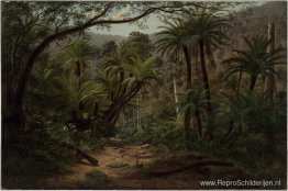 Ferntree Gully in de Dandenong Ranges Ferntree Gully in de Dandenong Ranges