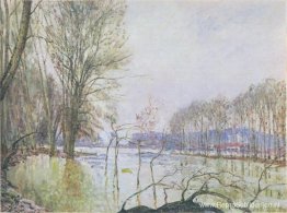 De oevers van de Seine in de herfstoverstroming De oevers van de Seine in de herfstoverstroming