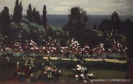 Bloementuin. Kaukasus Bloementuin. Kaukasus