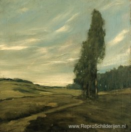 Contra Costa-landschap Contra Costa-landschap