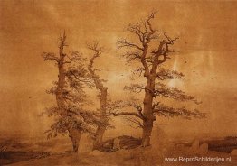 Graf aan Zee Graf aan Zee