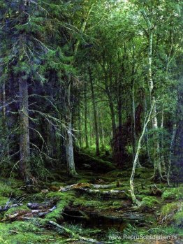 Achterland Achterland