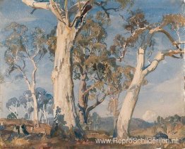 De witte gom De witte gom