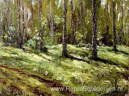 Zomer bos Zomer bos