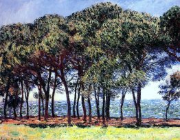 Pijnbomen, Cap d'Antibes Pijnbomen, Cap d'Antibes