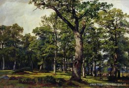 Eikenbos Eikenbos