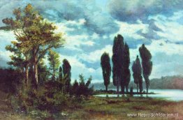 Landschap Landschap