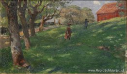 Zomer idylle Zomer idylle