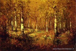 Herfstberken, Central Park Herfstberken, Central Park