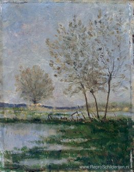 Overstroomde weilanden Overstroomde weilanden