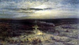Maanverlichte nacht. Moeras Maanverlichte nacht. Moeras