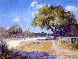 Texas-landschap Texas-landschap