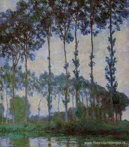 Populieren aan de oevers van de rivier de Epte, bewolkt weer Populieren aan de oevers van de rivier de Epte, bewolkt weer