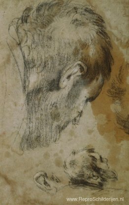 Twee studies van het hoofd van een bebaarde man Twee studies van het hoofd van een bebaarde man