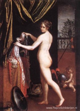 Minerva-dressing Minerva-dressing