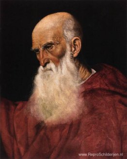 Portret van een kardinaal Portret van een kardinaal