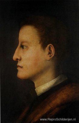 Cosimo I de'Medici Cosimo I de'Medici