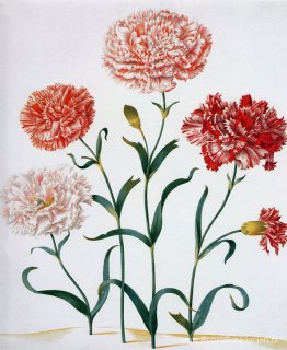 onbekende titel onbekende titel