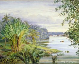 Uitzicht op Kuching en de rivier, Sarawak, Borneo Uitzicht op Kuching en de rivier, Sarawak, Borneo