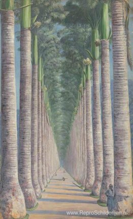 Koninklijke Palmlaan Koninklijke Palmlaan
