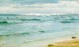 Zee bij Skagen Zee bij Skagen