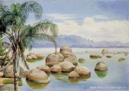 Palmbomen en rotsblokken in de baai van Rio, Brazilië Palmbomen en rotsblokken in de baai van Rio, Brazilië